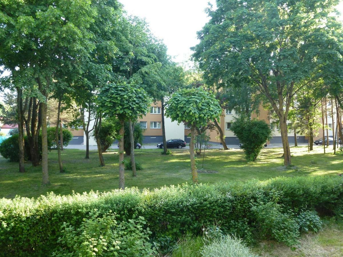 Studio Apartment "Balta" Паланга Екстериор снимка